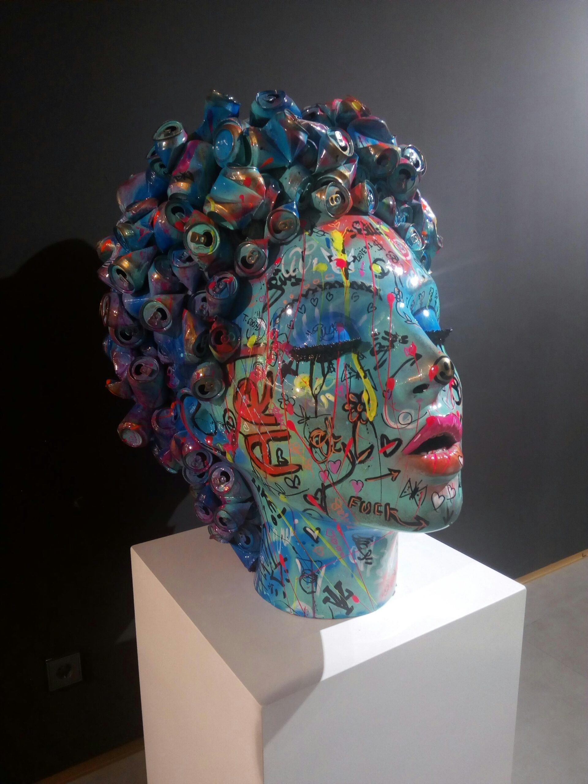 Plastic as a Canvas: Turning Waste Into Art